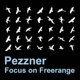 Album cover of Focus On : Freerange