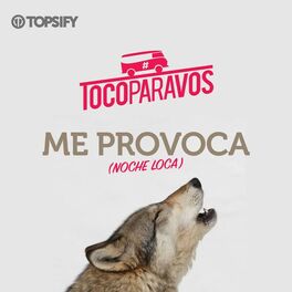 Album cover of Me provoca (Noche loca)