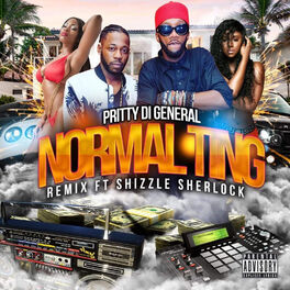 Album cover of Pritty Di General Normal Ting (Remix)
