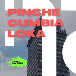 Album cover of Pinche Cumbia Loka