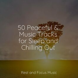 Album cover of 50 Peaceful & Music Tracks for Sleep and Chilling Out