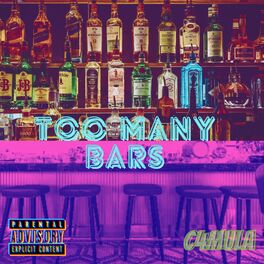 Album cover of Too Many Bars