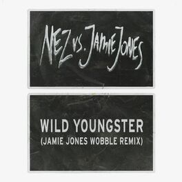 Album cover of Wild Youngster (feat. ScHoolboy Q) (Jamie Jones' Wobble Remix)