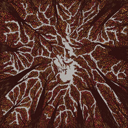 Album cover of Crown Shyness