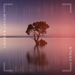 Album cover of Venus