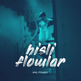 Album cover of Hisli Flowlar