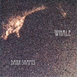 Album cover of Dark Shapes