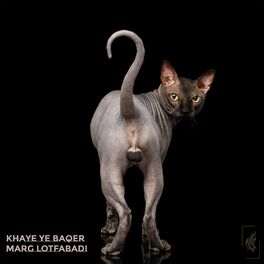 Album cover of Khaye Ye Baqer