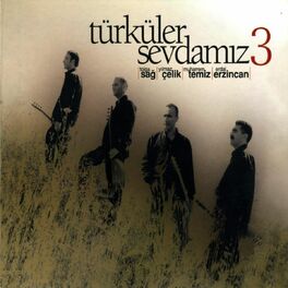 Album cover of Türküler Sevdamız, Vol. 3