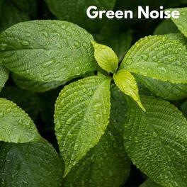 Album cover of Green Noise