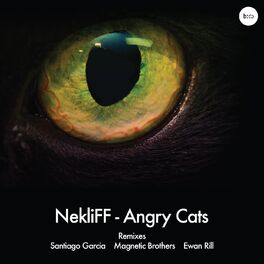 Album cover of Angry Cats