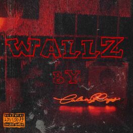 Album cover of Wallz