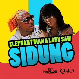 Album cover of Sidung
