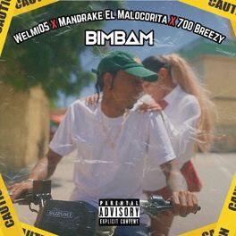Album cover of Bim Bam