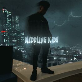 Album cover of Meddling Kids