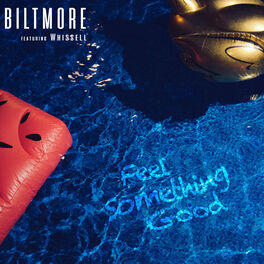 Album cover of Feel Something Good