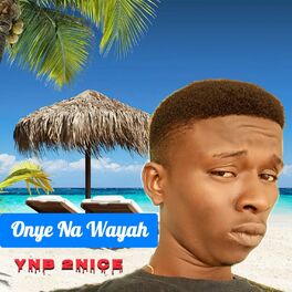 Album cover of Onye Na Wayah