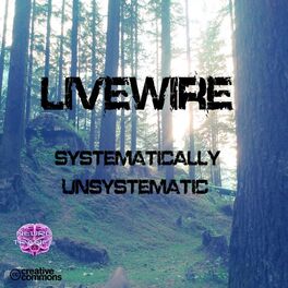 Album cover of Systematically Unsystematic