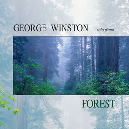 Album cover of Forest