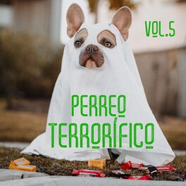 Album cover of Perreo Terrorífico Vol. 5