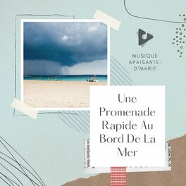 Album cover of Une Promenade Rapide Au Bord De La Mer