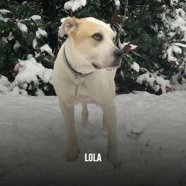Album cover of Lola
