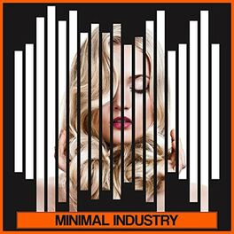 Album cover of Minimal Industry