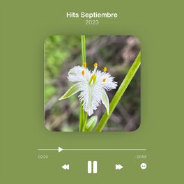 Album cover of Hits Septiembre 2023