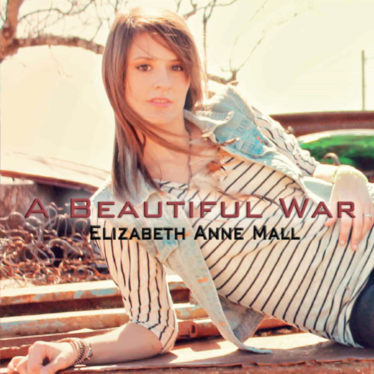 Elizabeth Anne Mall - The Night the Stars Fell: listen with lyrics | Deezer