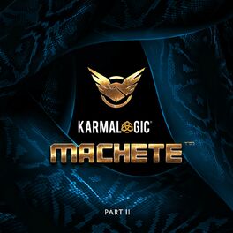 Album cover of Karmalogic II