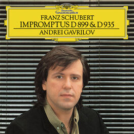 Album cover of Schubert: Impromptus Op.90, D.899 & Op.142, D.935