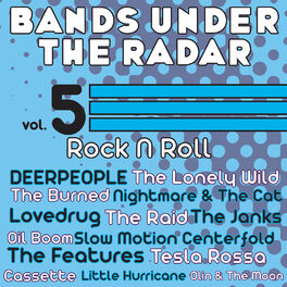 Album cover of Bands Under the Radar, Vol. 5: Rock n Roll