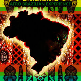 Album cover of The Afro Brazilian Experience