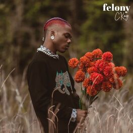 Album cover of Felony