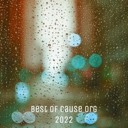 Album cover of Best Of Cause Org 2022