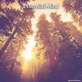 Album cover of Essential Mind