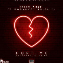 Album cover of Hurt Me