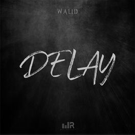 Album cover of Delay