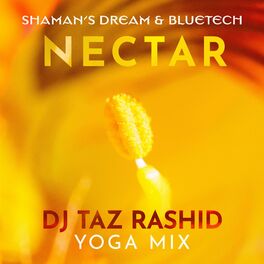 Album cover of Nectar