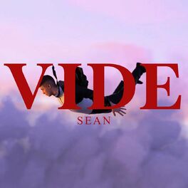 Album cover of Vide