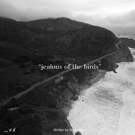 Album cover of Jealous of the Birds