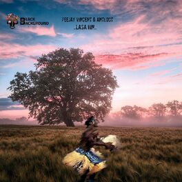 Album cover of Lasa hin