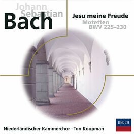 Album cover of Bach Motetten BWV 225 - 230