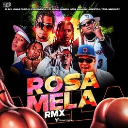 Album cover of Rosa Mela (feat. Yeo Freko, El Experimento (Macgyver), You R & Niño Raidy) (Remix)