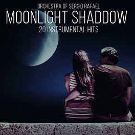 Album cover of Moonlight Shadow - 20 Instrumental Hits