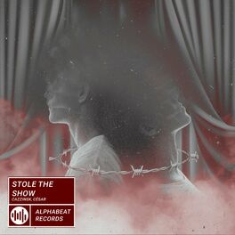 Album cover of Stole The Show
