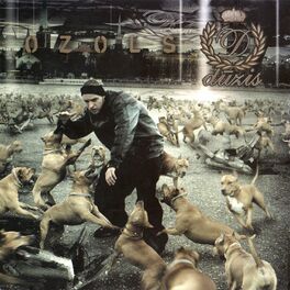 Album cover of Dūzis