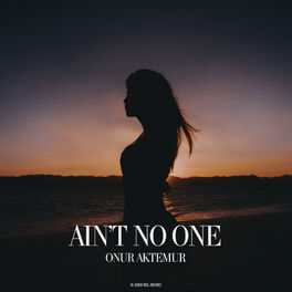 Album cover of Ain't No One