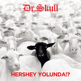 Album cover of Hershey Yolunda!? (Remastered)