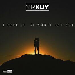 Album cover of I Feel It (I Won't Let You Go) (Extended Mix)
